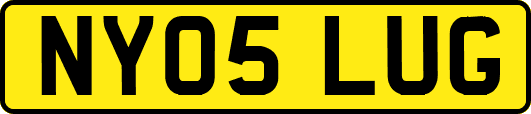 NY05LUG