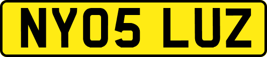 NY05LUZ