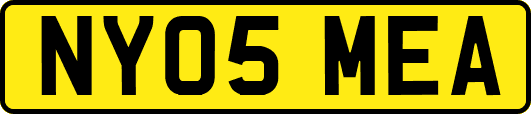 NY05MEA