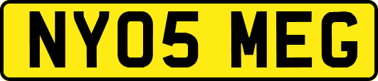NY05MEG