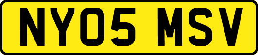NY05MSV