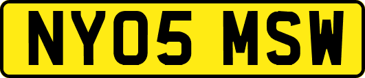 NY05MSW