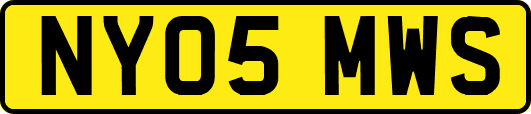 NY05MWS