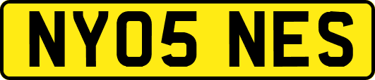 NY05NES