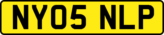 NY05NLP