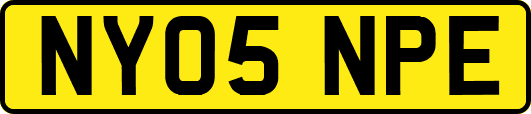 NY05NPE