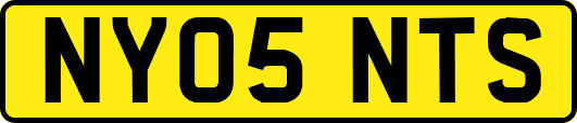 NY05NTS