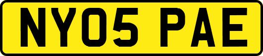 NY05PAE