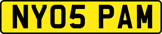 NY05PAM
