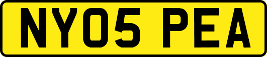 NY05PEA