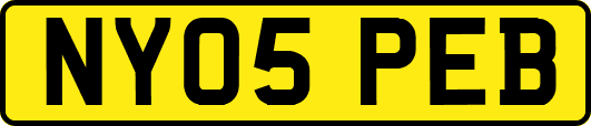 NY05PEB