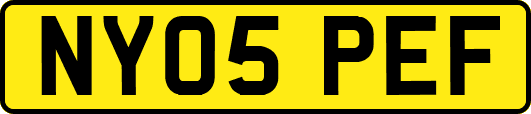 NY05PEF