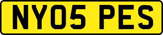 NY05PES