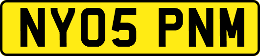 NY05PNM