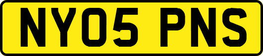 NY05PNS