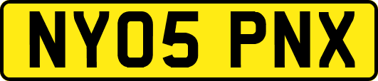 NY05PNX