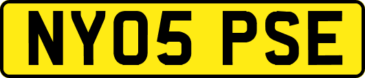 NY05PSE