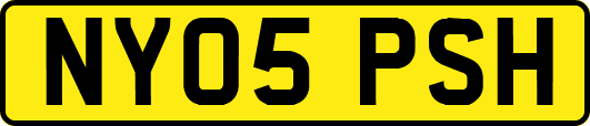 NY05PSH