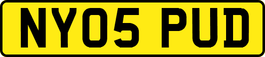 NY05PUD