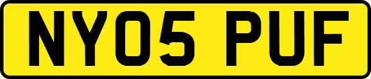 NY05PUF