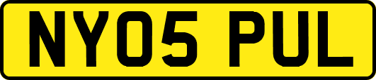 NY05PUL