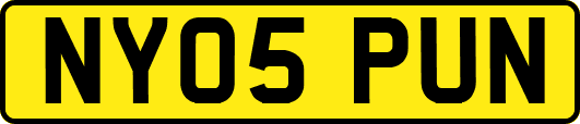 NY05PUN