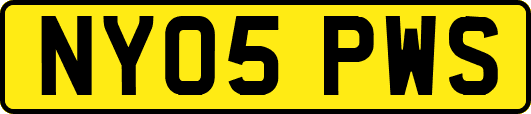 NY05PWS