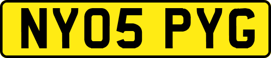 NY05PYG