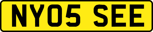 NY05SEE