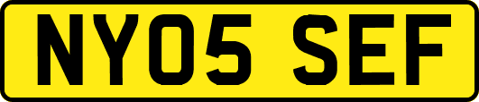NY05SEF