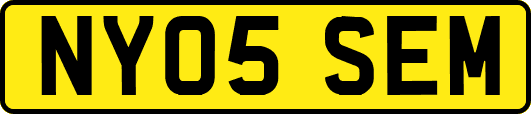 NY05SEM