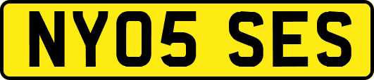 NY05SES
