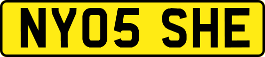 NY05SHE