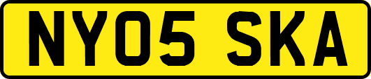 NY05SKA