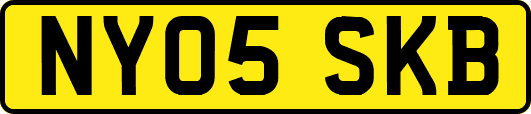 NY05SKB