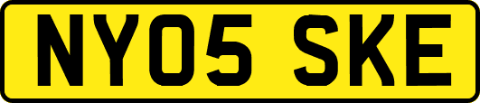 NY05SKE