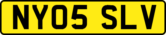 NY05SLV