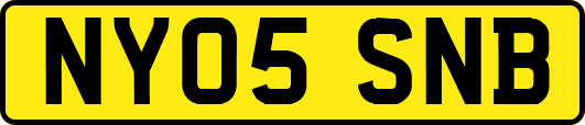 NY05SNB