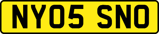 NY05SNO