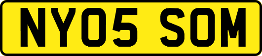 NY05SOM