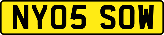 NY05SOW