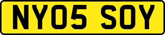 NY05SOY