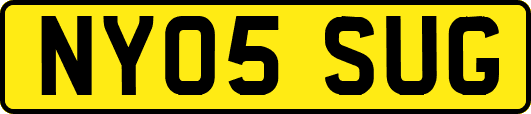 NY05SUG