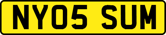NY05SUM