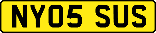 NY05SUS