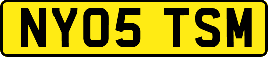 NY05TSM