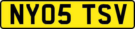 NY05TSV