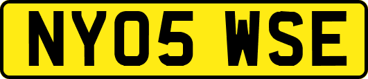 NY05WSE