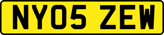 NY05ZEW