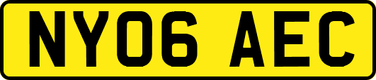 NY06AEC